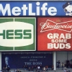 2011-04-16 (014)